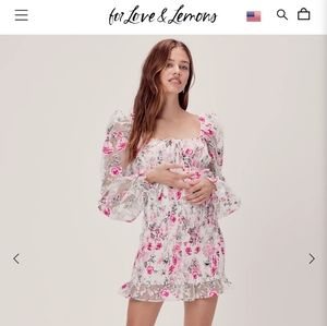 For love and lemons lovell burnout mini dress